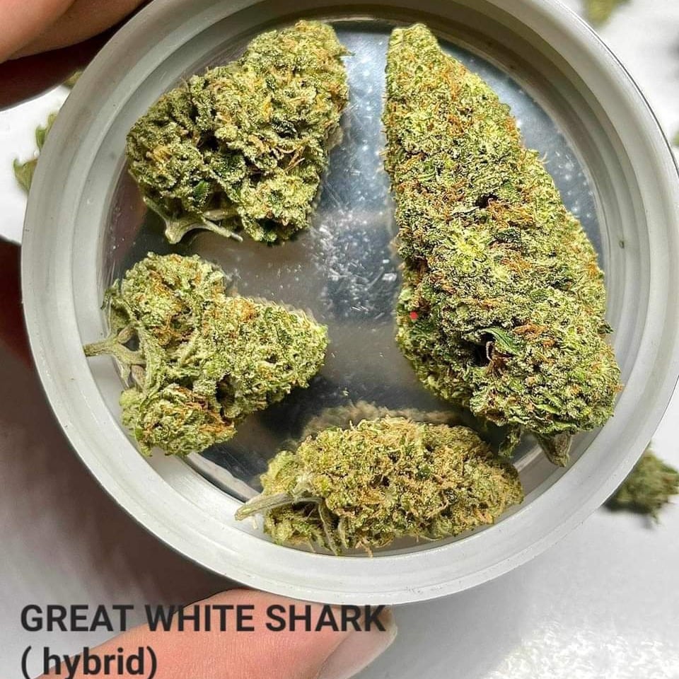 Baron Bud Weed