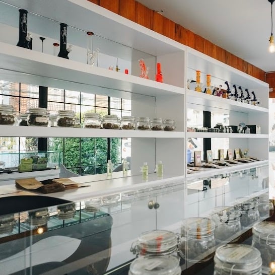 GoGreen By Kanya - The Best Weed Shop Dispensary Jed Yod