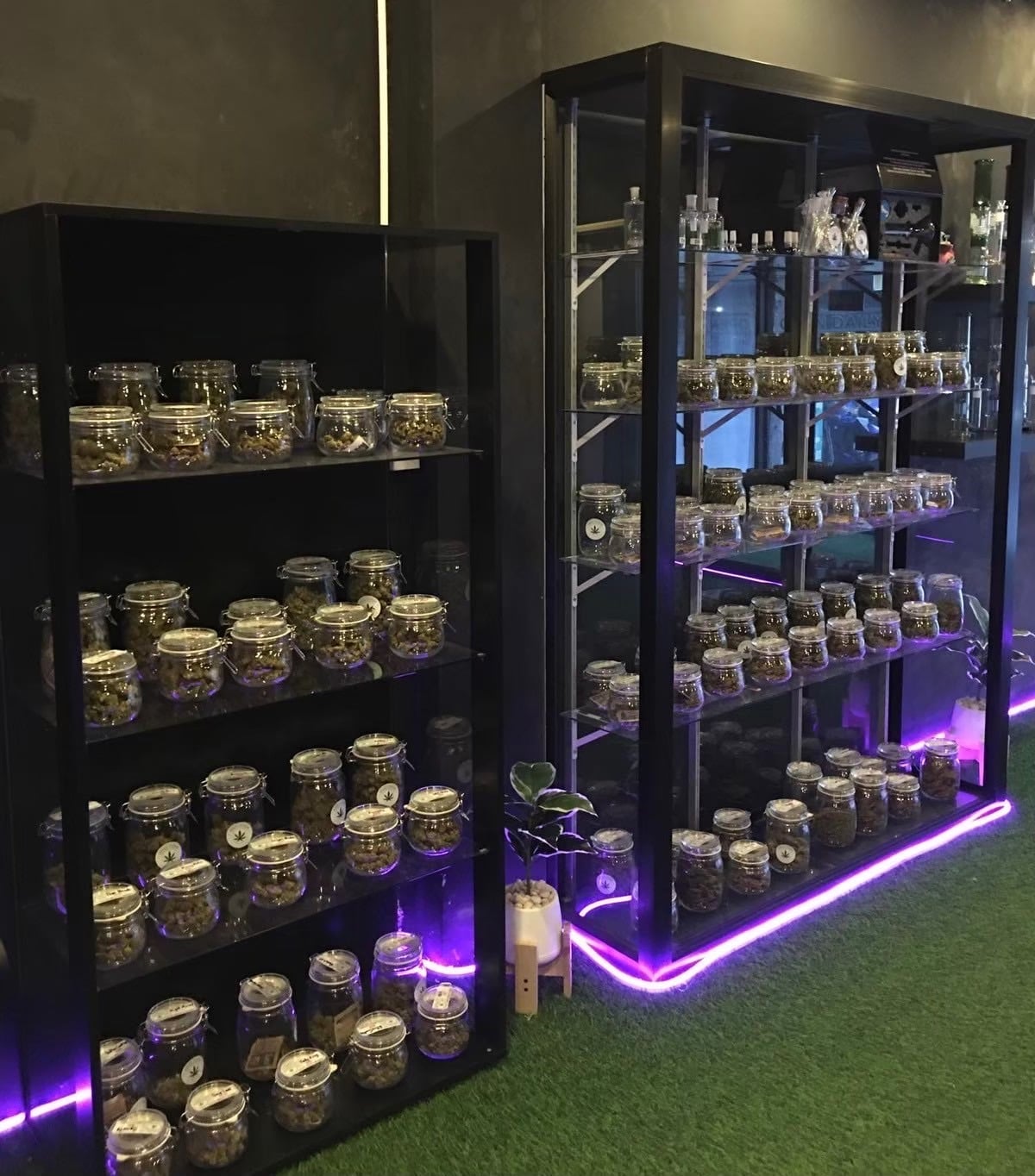 Green Power Cannabis & Kratom Chumphon