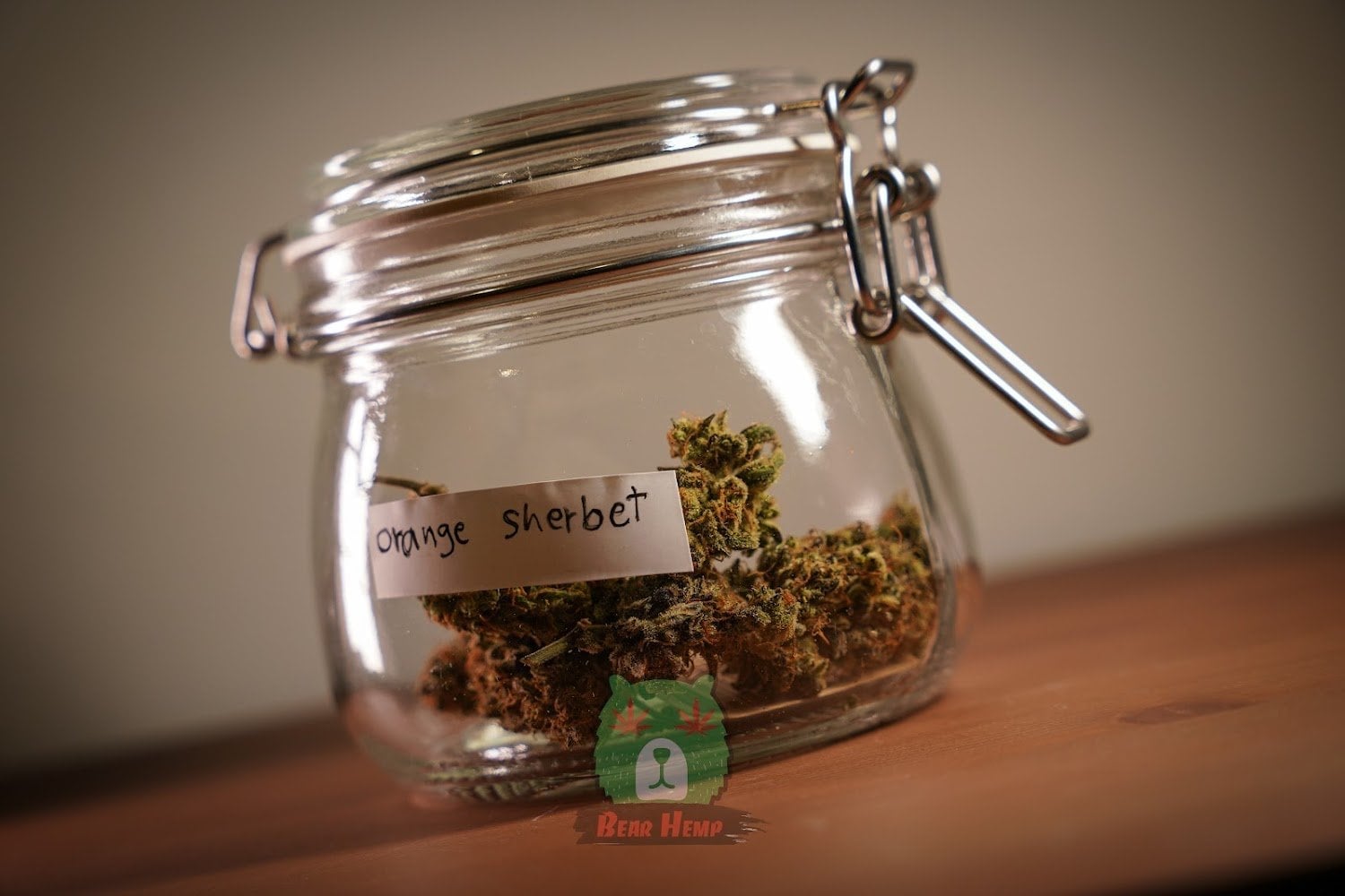 Bear Hemp