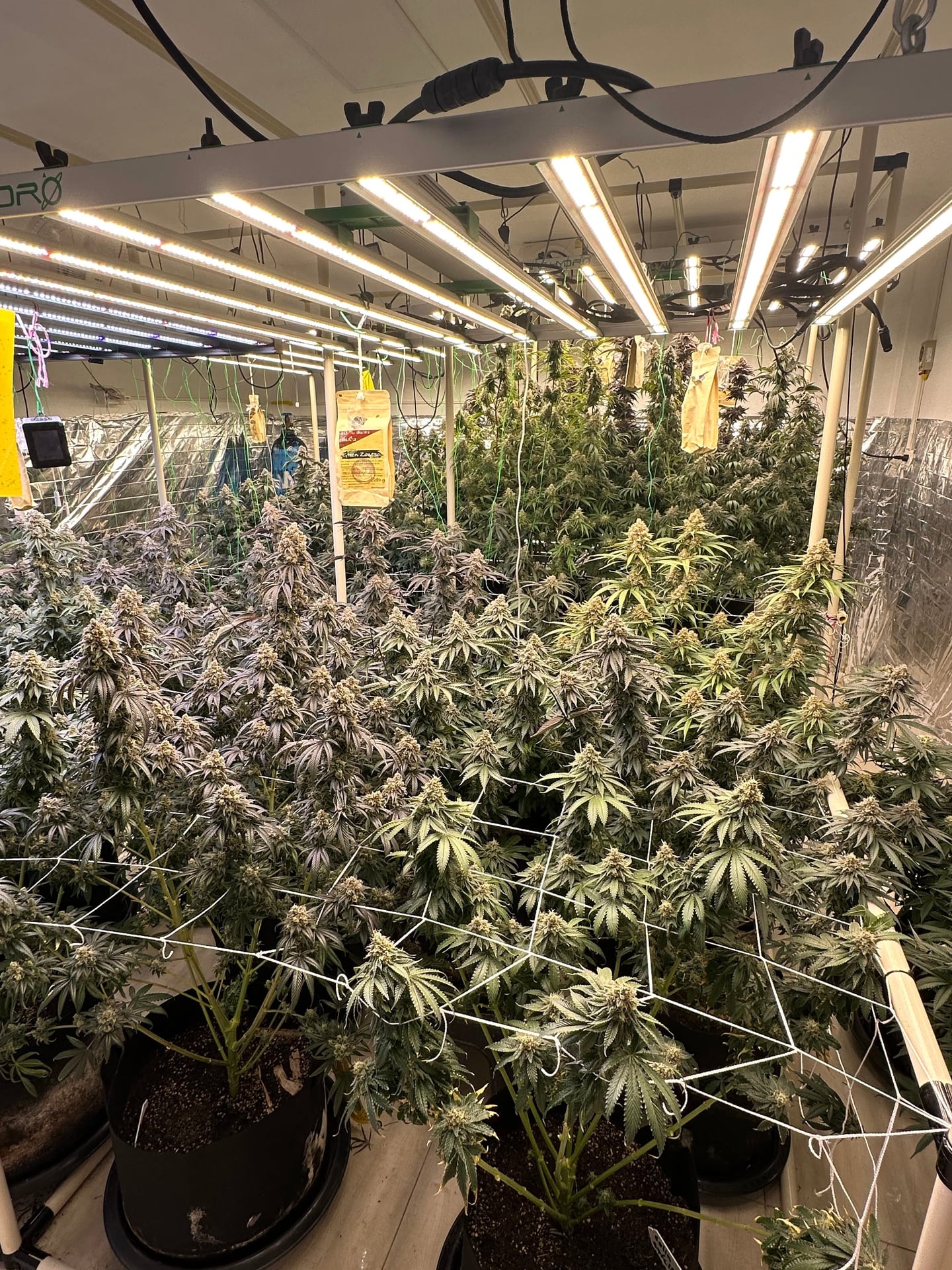 Setthakit Farm