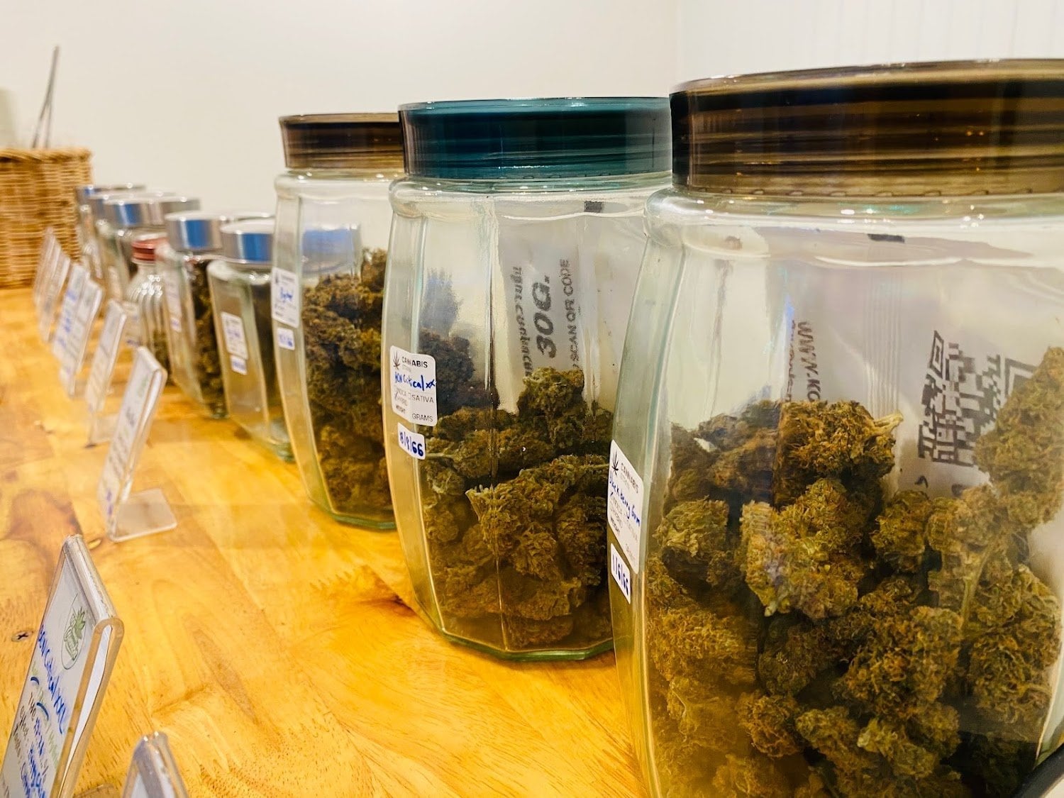 101 Maesot Cannabis