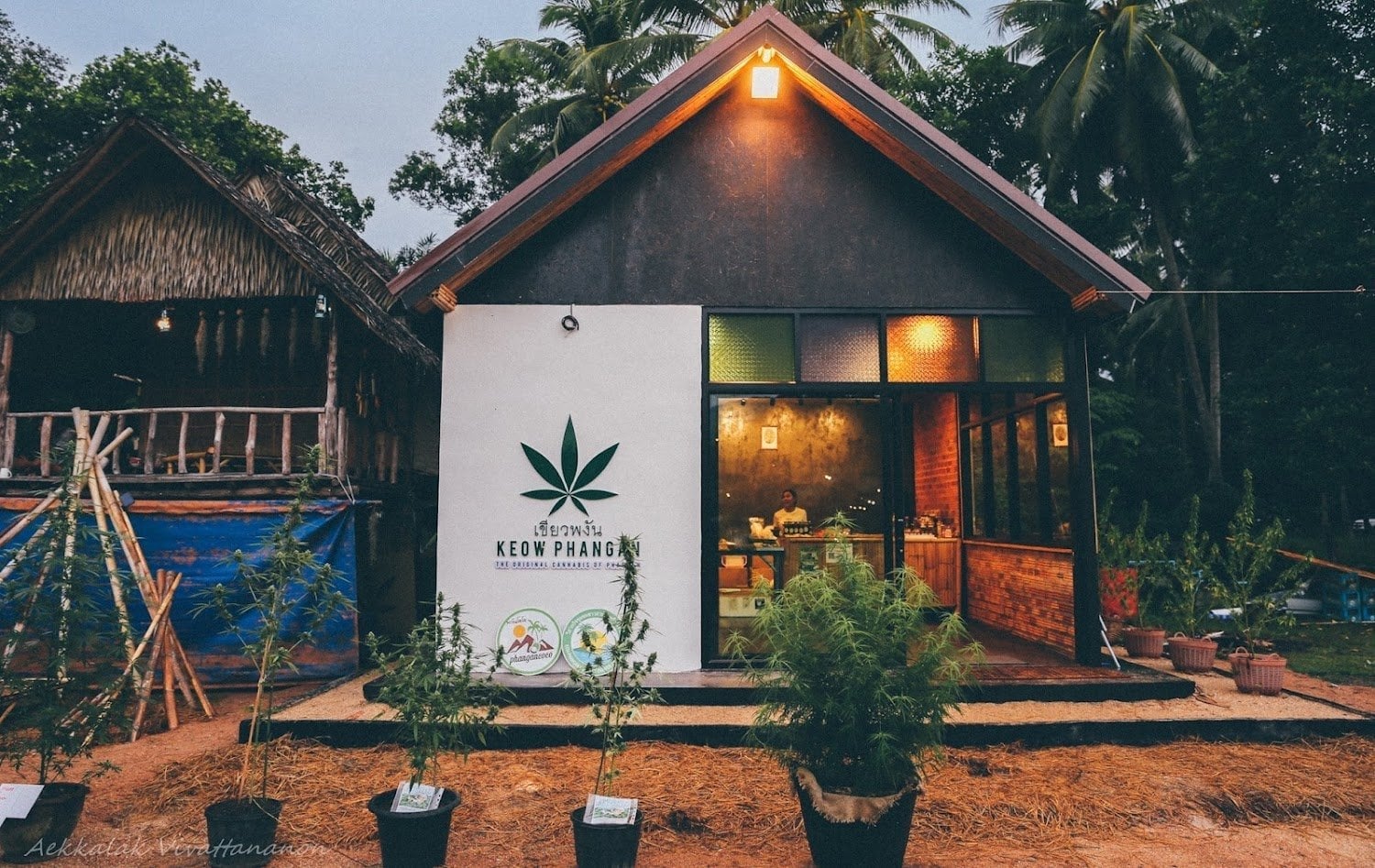 Phangan