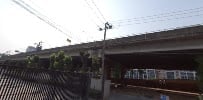 Mr Buds Farms