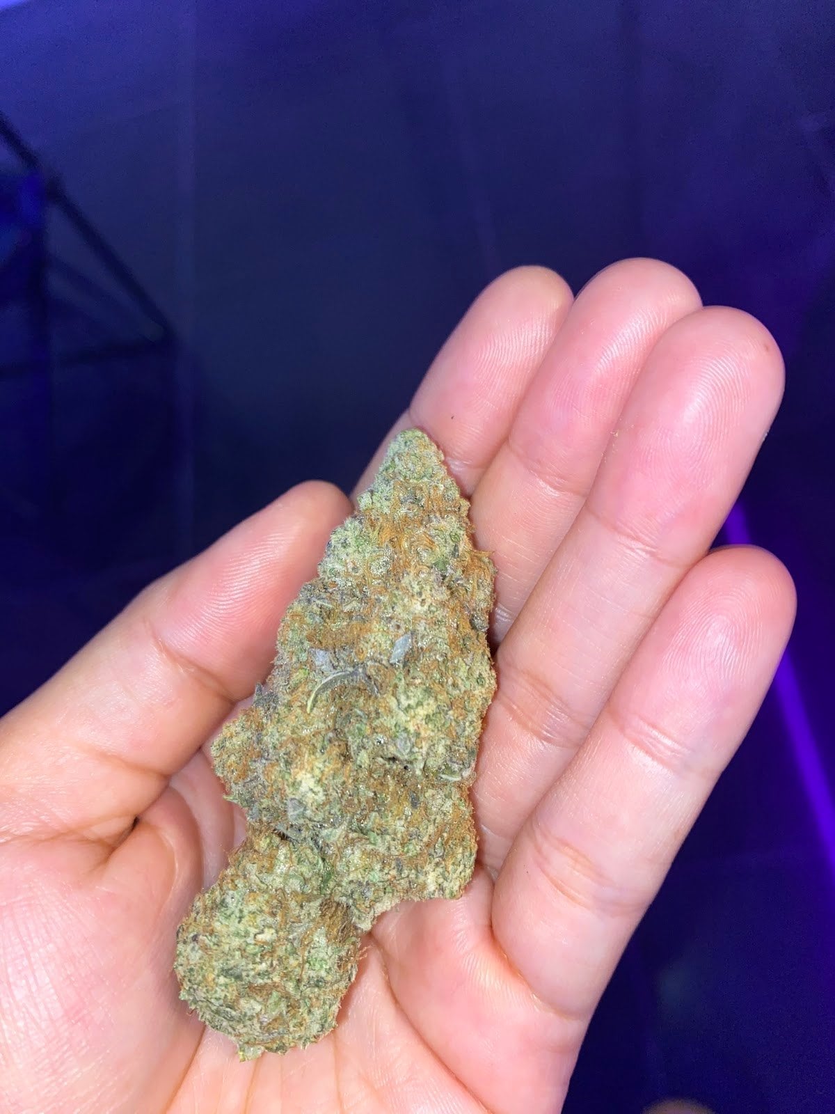 Kush Cannabis