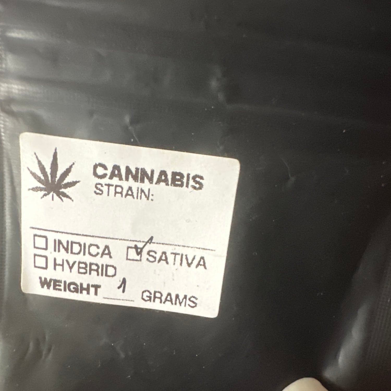 Bangkokの大麻ショップ SayHigh Cannabis ロゴ