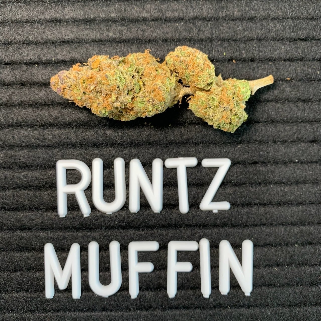 SPD Dispensary