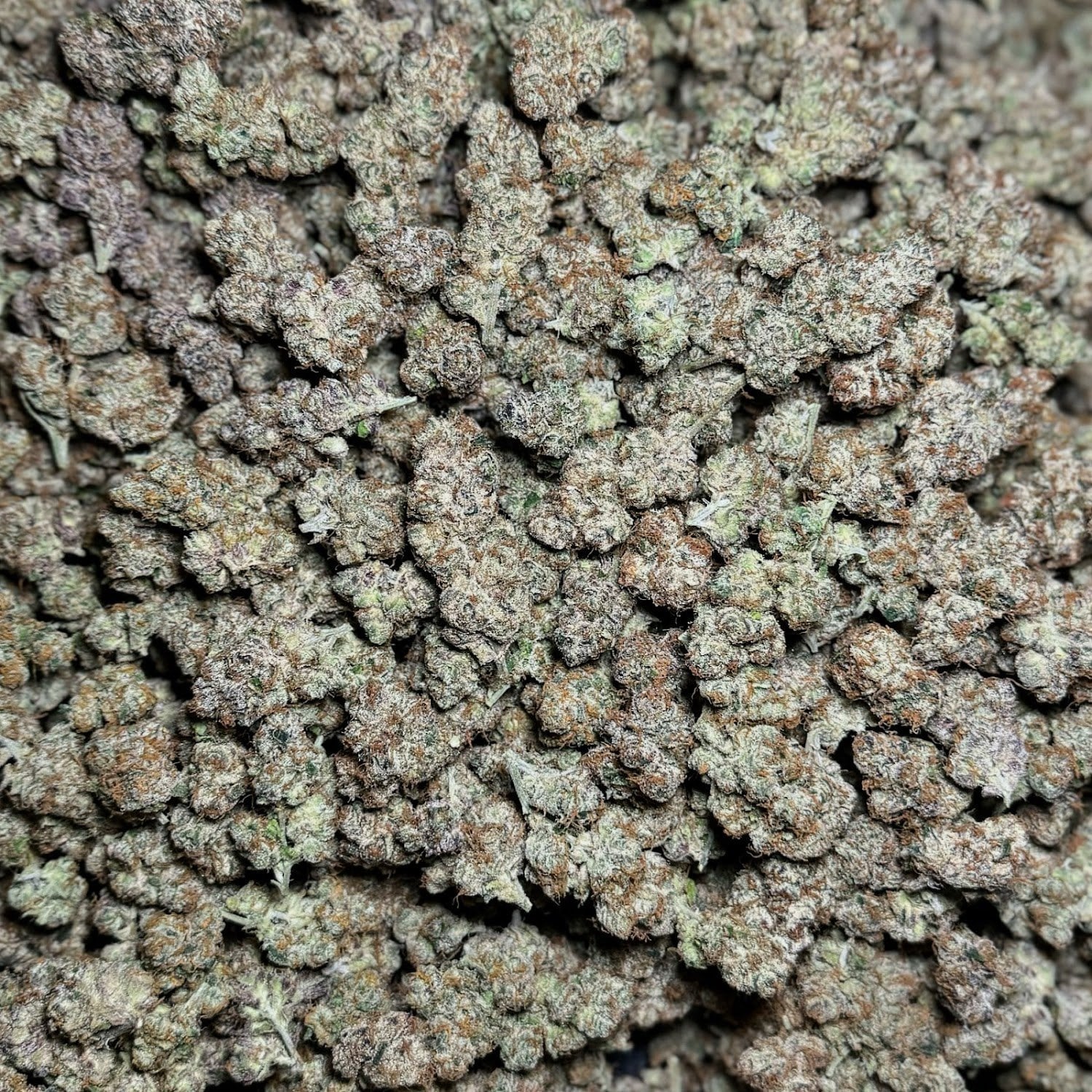 Greenlungs