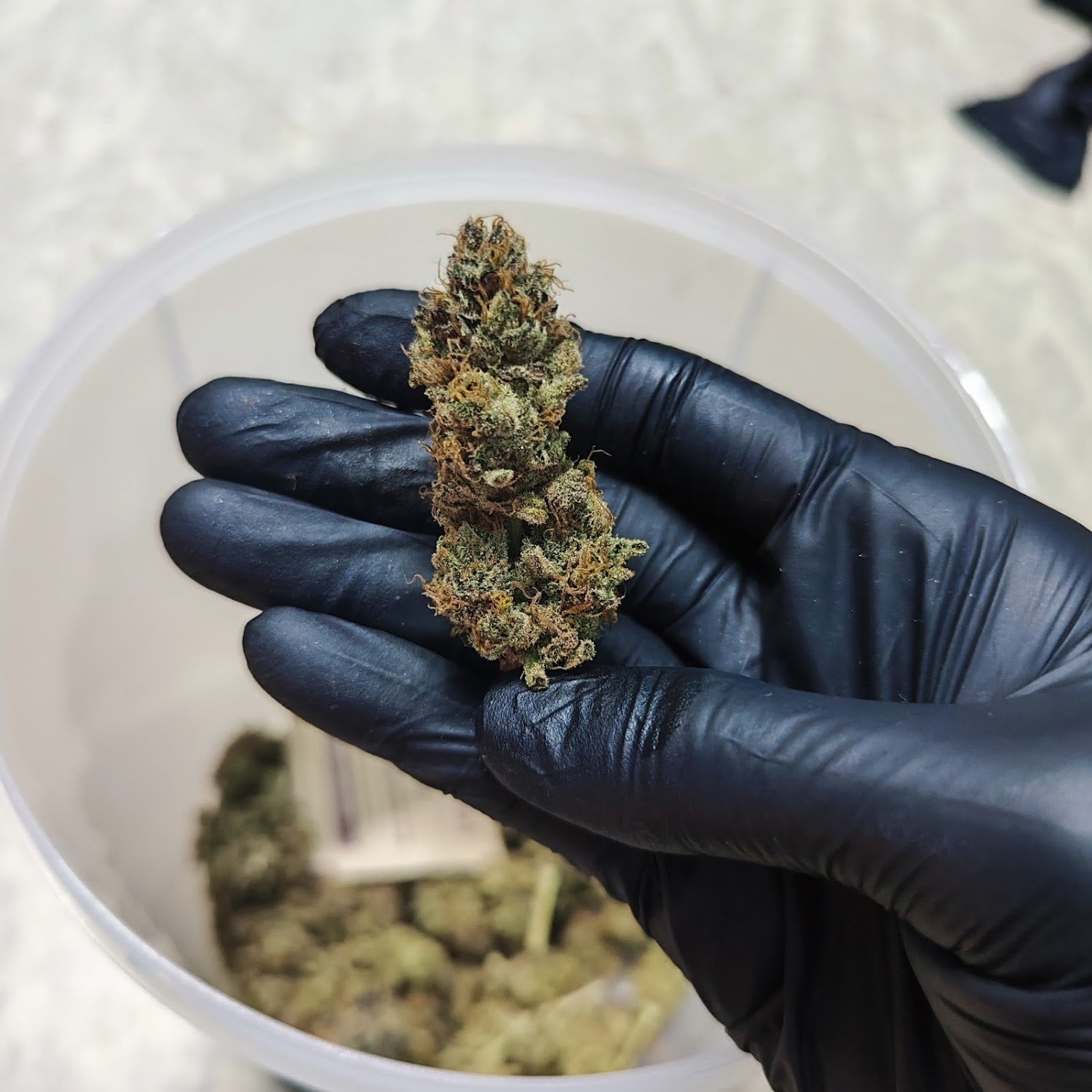 Cannabisshop & Grocery Store Kerry Express