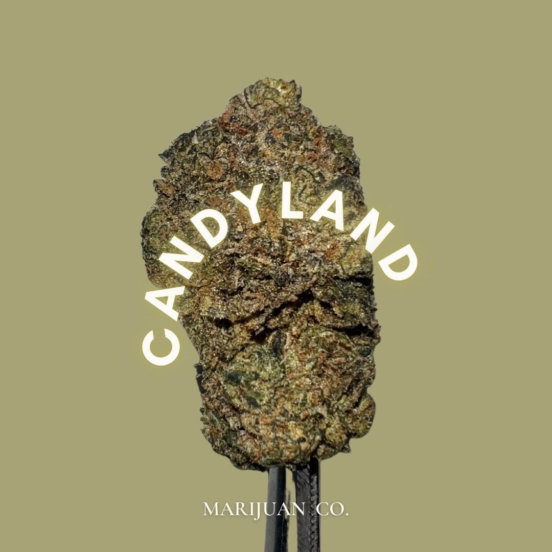 Konopná výdejna Marijuan.Co Phuket logo
