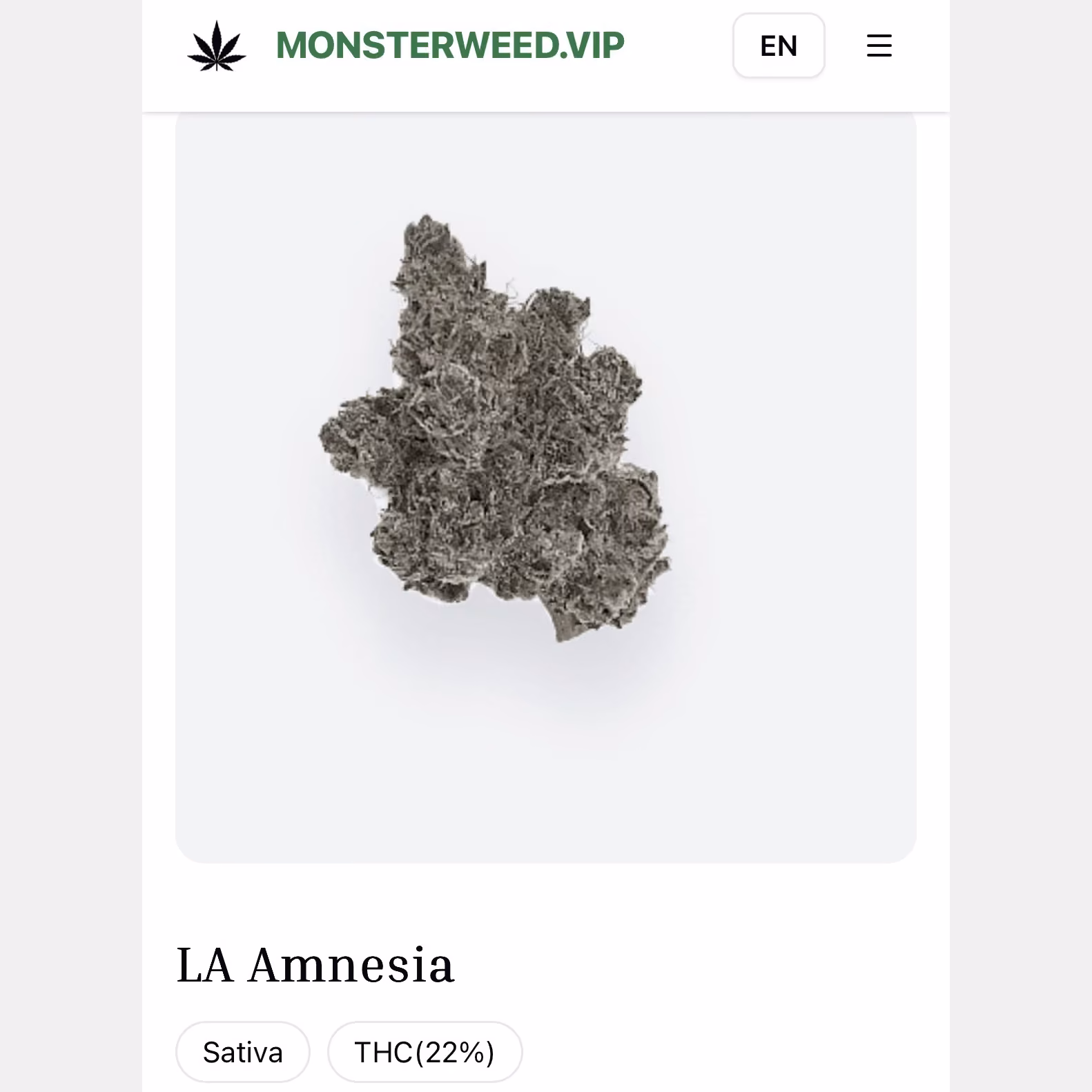 Cannabis Dispensary Monsterweed.vip in Pathum Thani logo