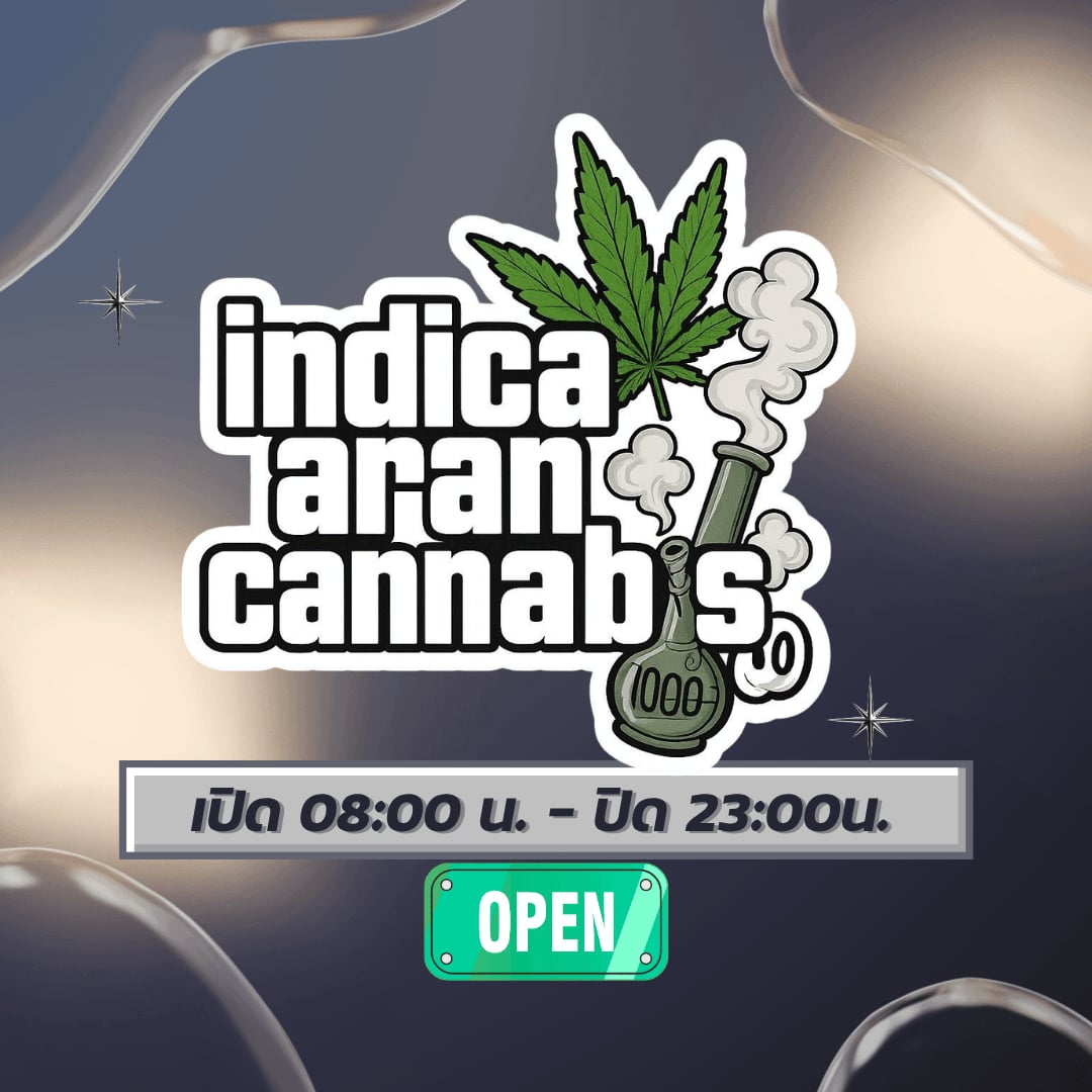 Indica Aran