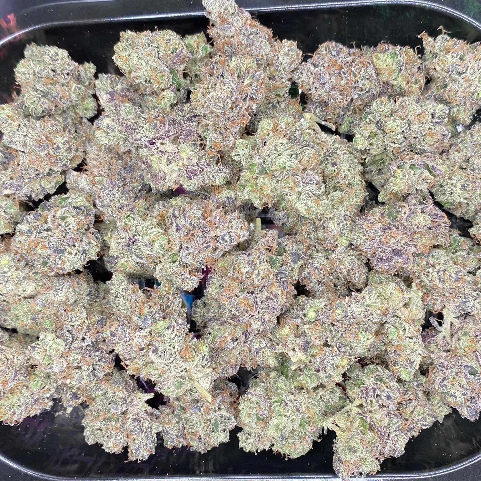 Kush Queen Og-indoor Air