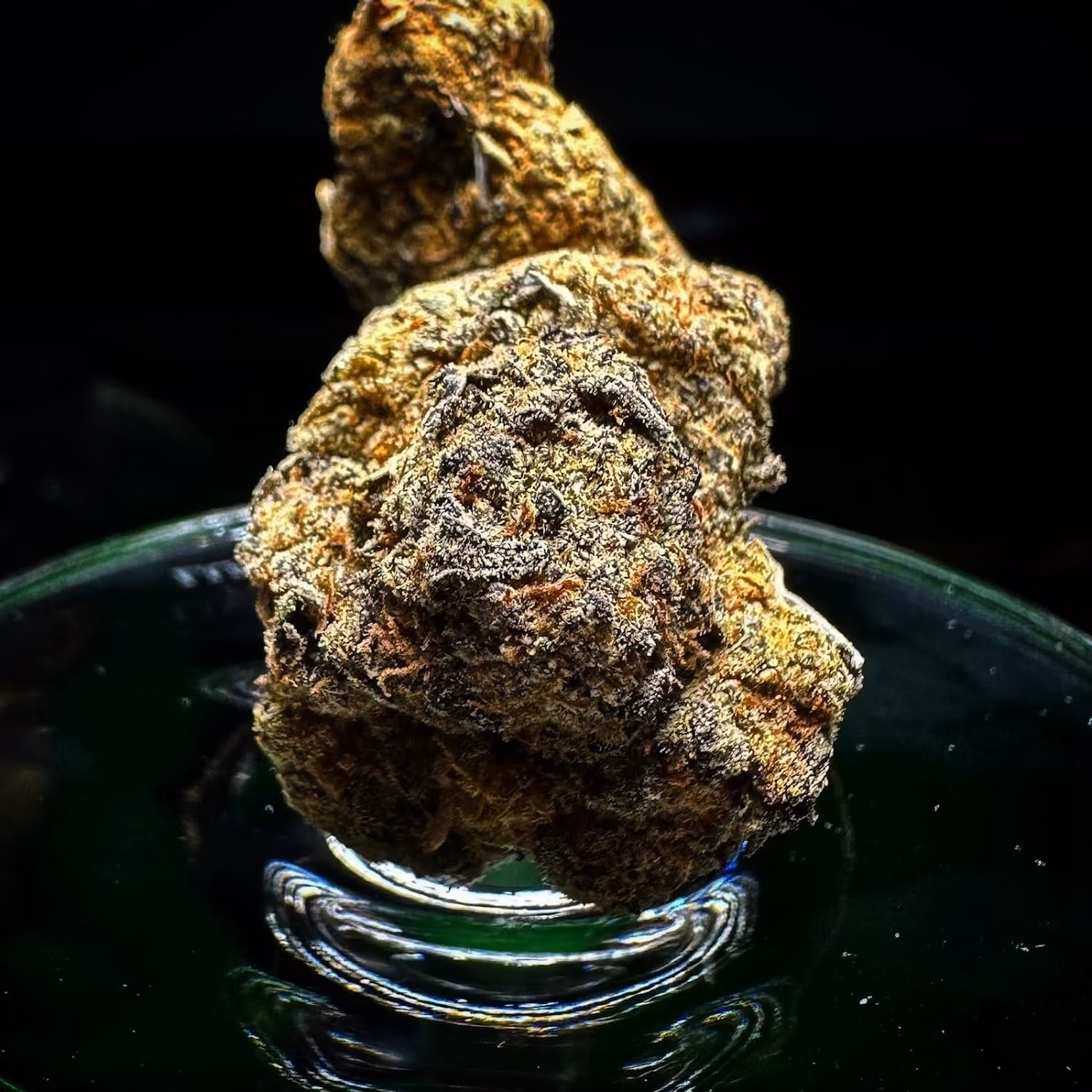 Dispensário de canábis HL Cannabis Patong em Phuket logótipo