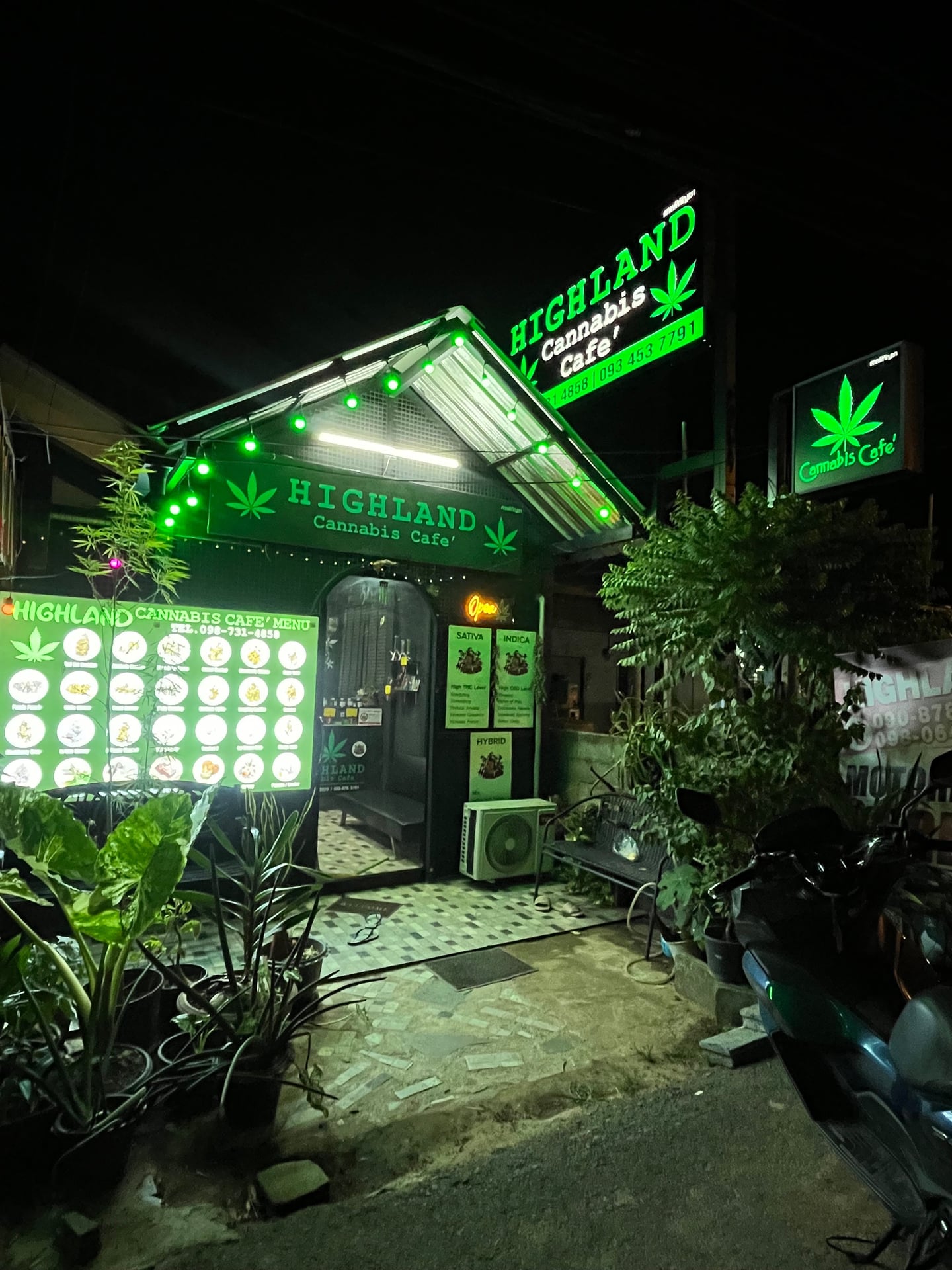 High Bro 2