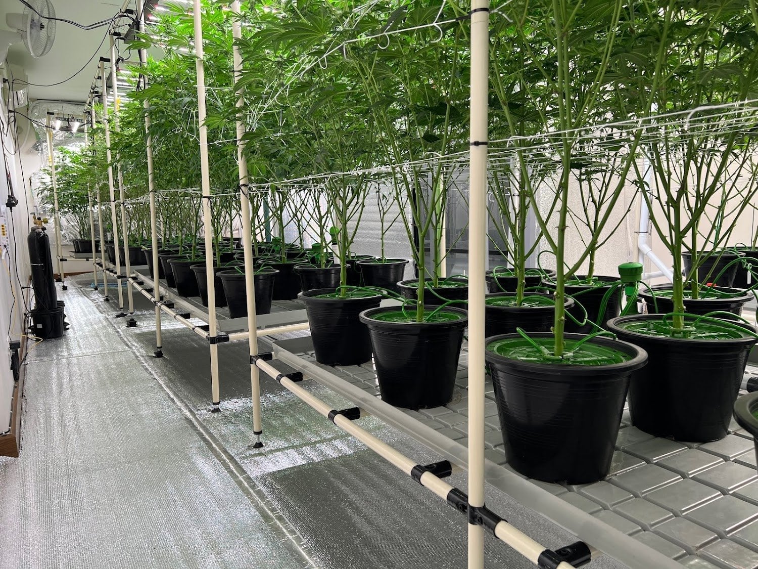 Joint Venture