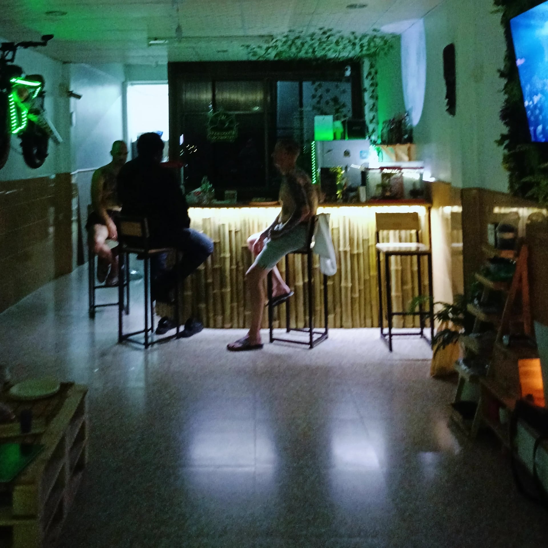 Jungle Kings Cannabis Bar Weed And Snus