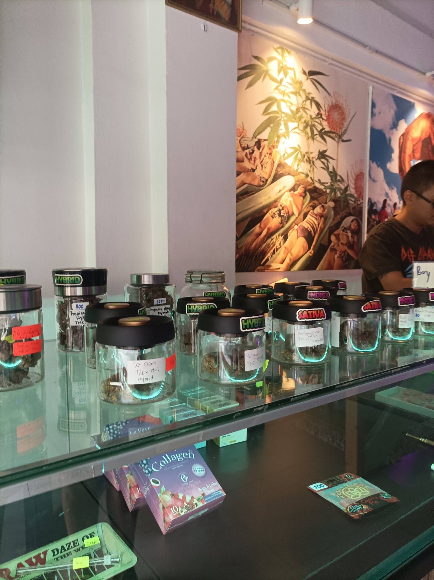 Weed Gallery Pattaya