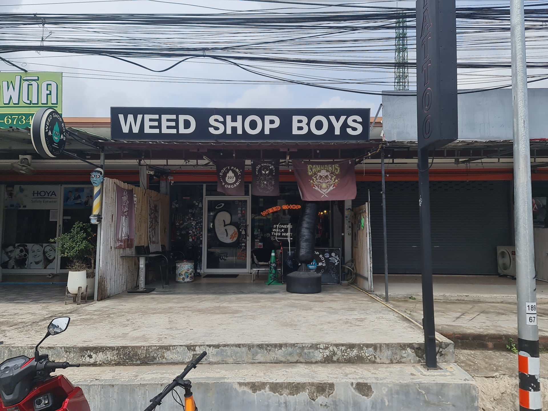 Balaclava Weed