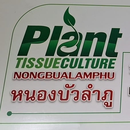 Herb Group Nong Bua Lamphu