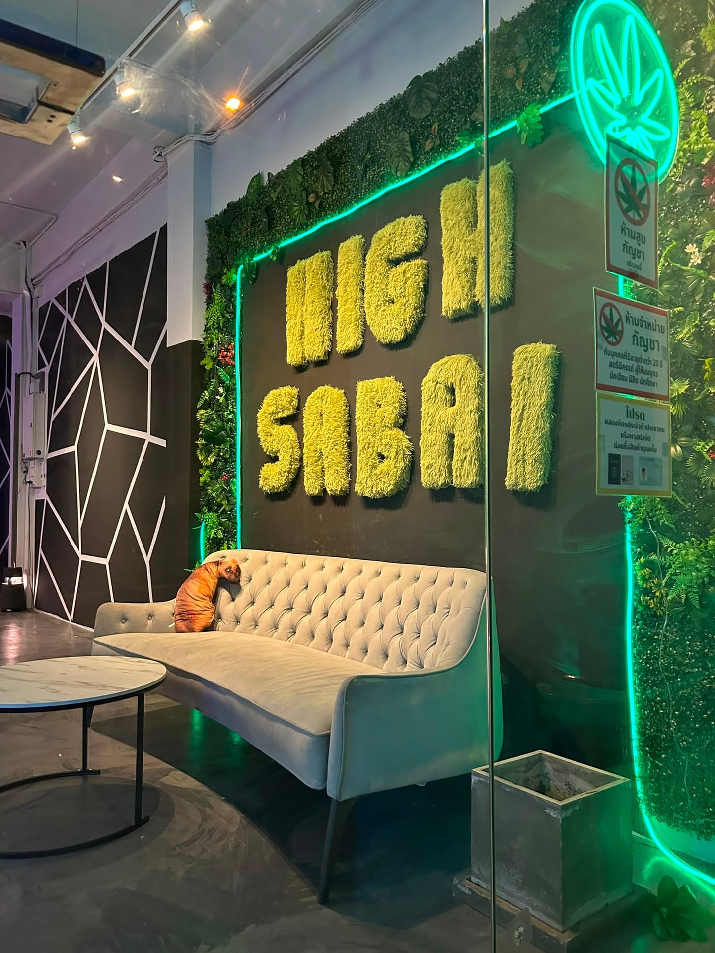 Baboon Premium Cannabis And Lounge Crafted Weed