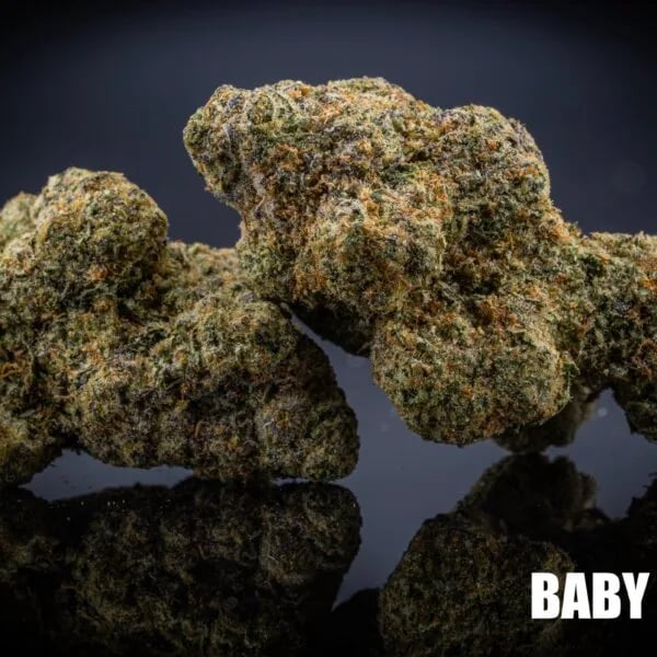 Cannabear