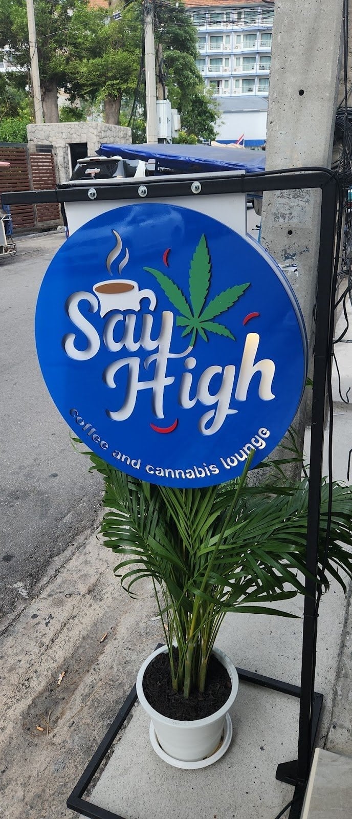 Say High Coffee & Cannabis Lougne
