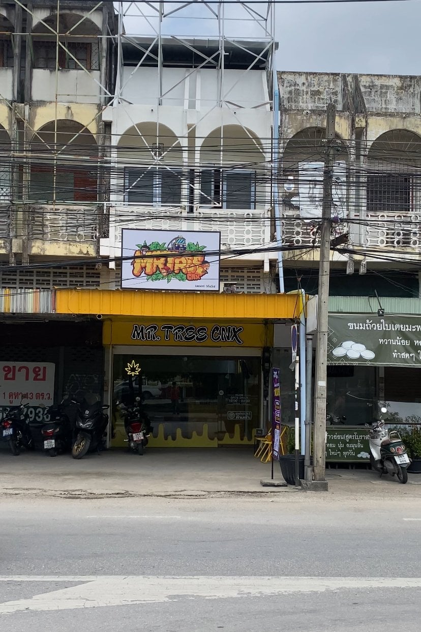 Mr.Tree CNX - Cannabis Social Club Chiang Mai