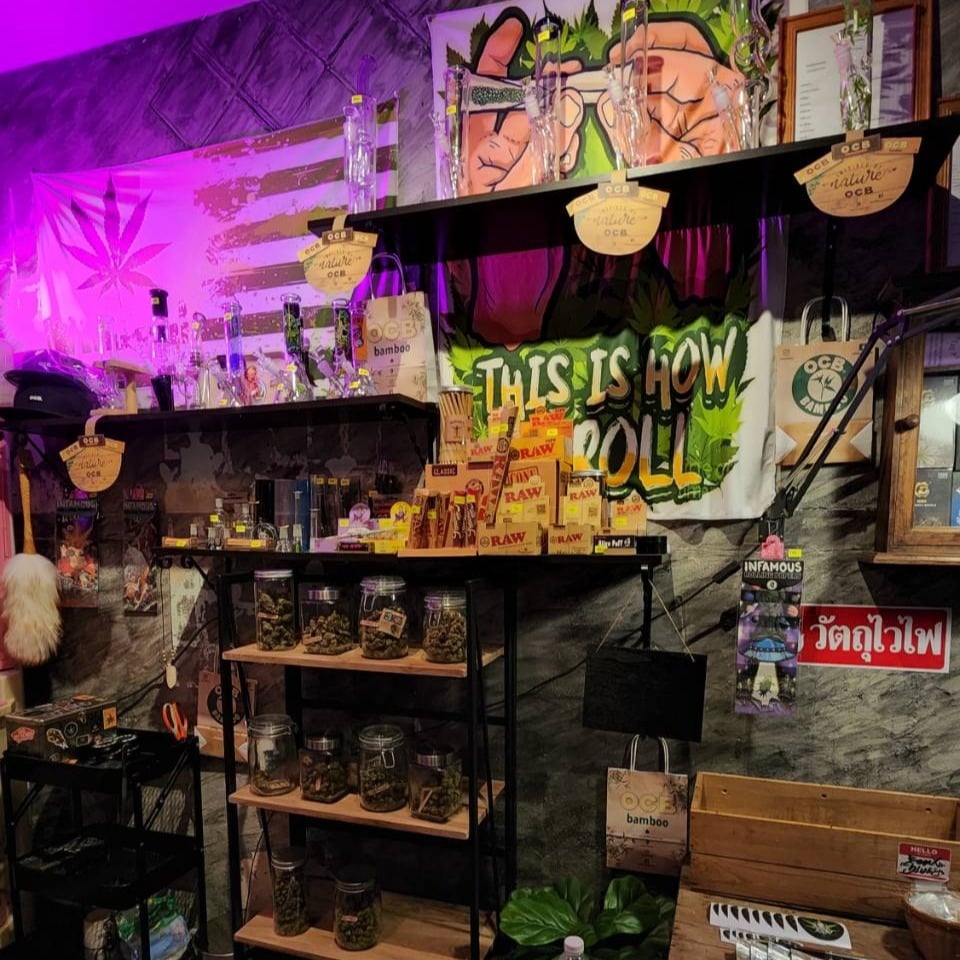 Pharaoh Land Cannabis Ayutthaya
