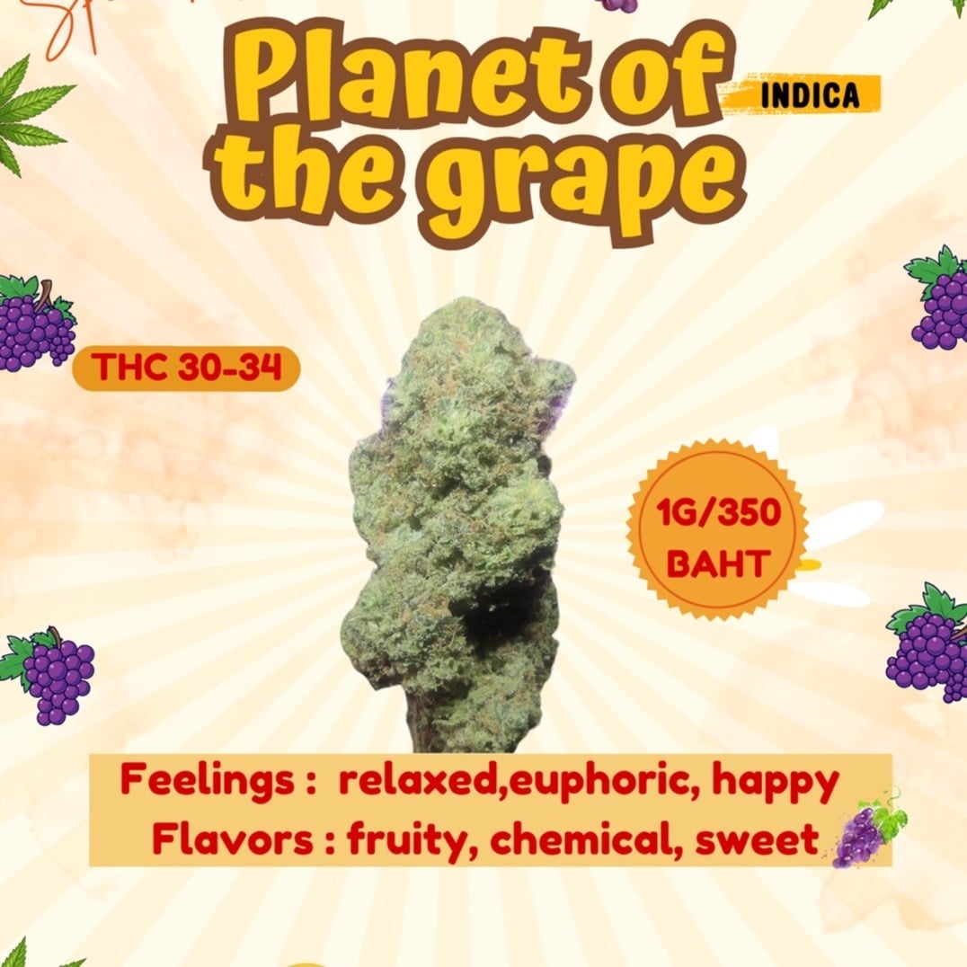 Green65.Organic