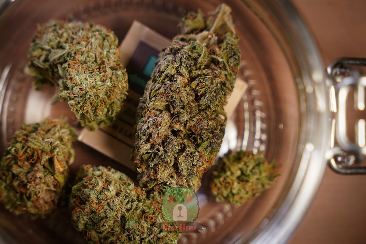 Bear Hemp
