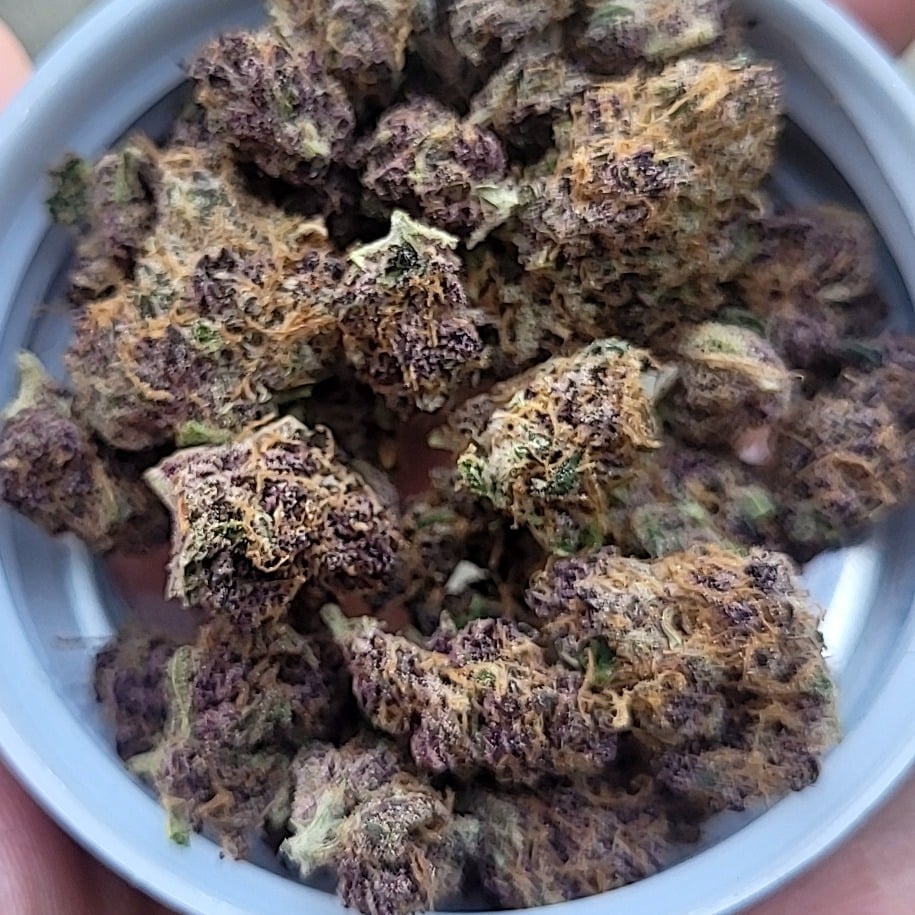 Sen4.20