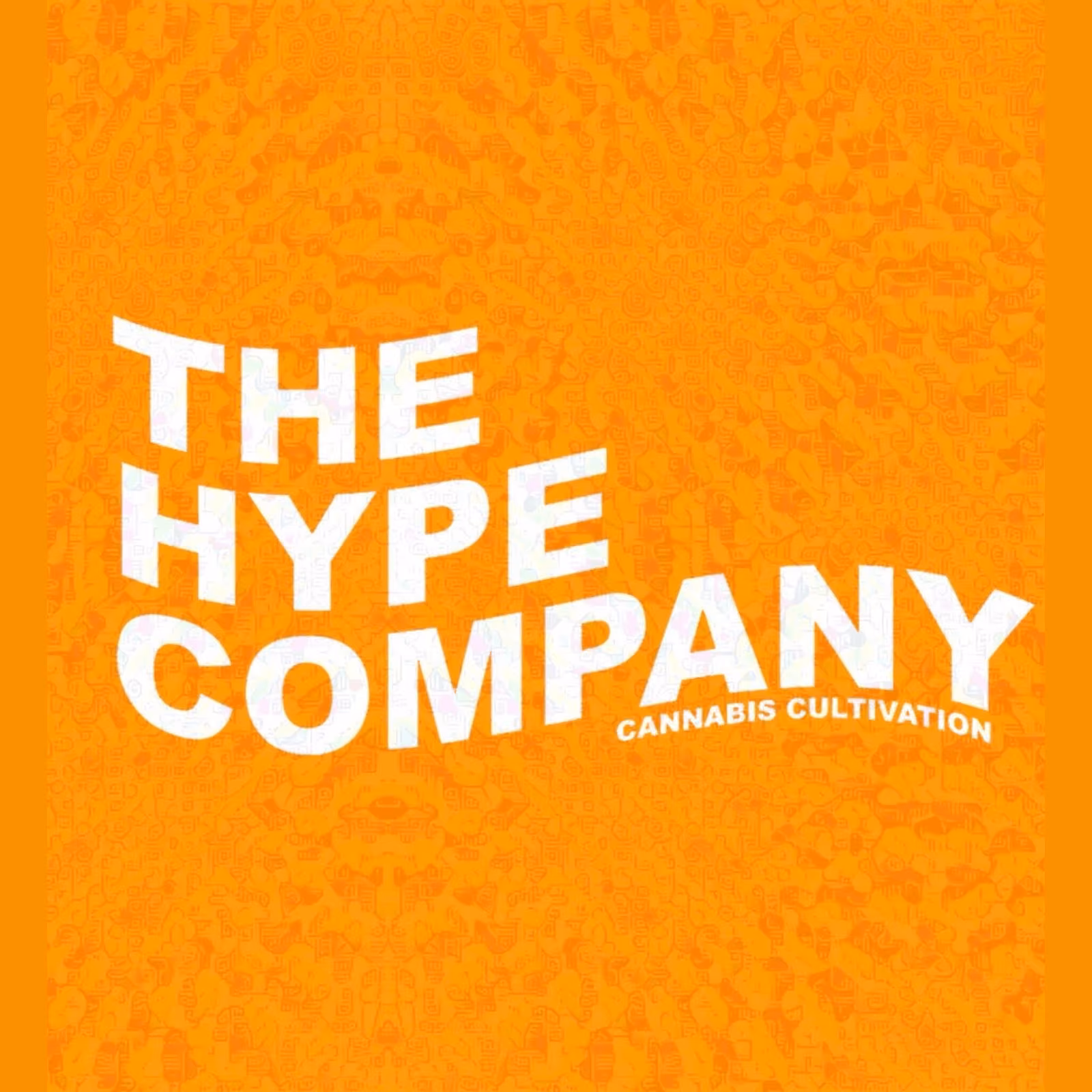 Cannabis Dispensary The Hype Company-Cannabis,,,marijuana in Chiang Mai logo