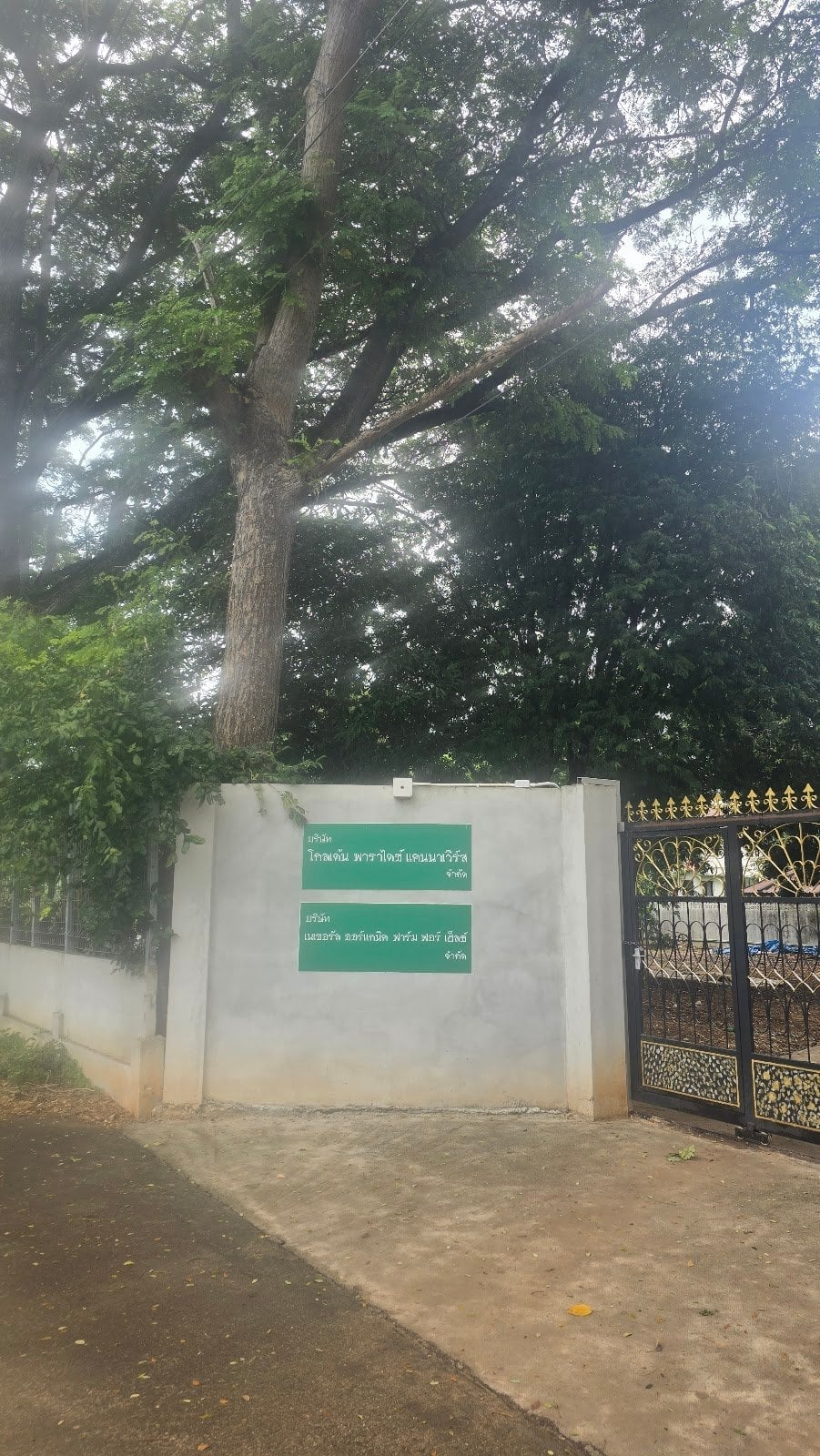 Bris'ath Kolden Pharadis Khaen Na Weirs Cakad