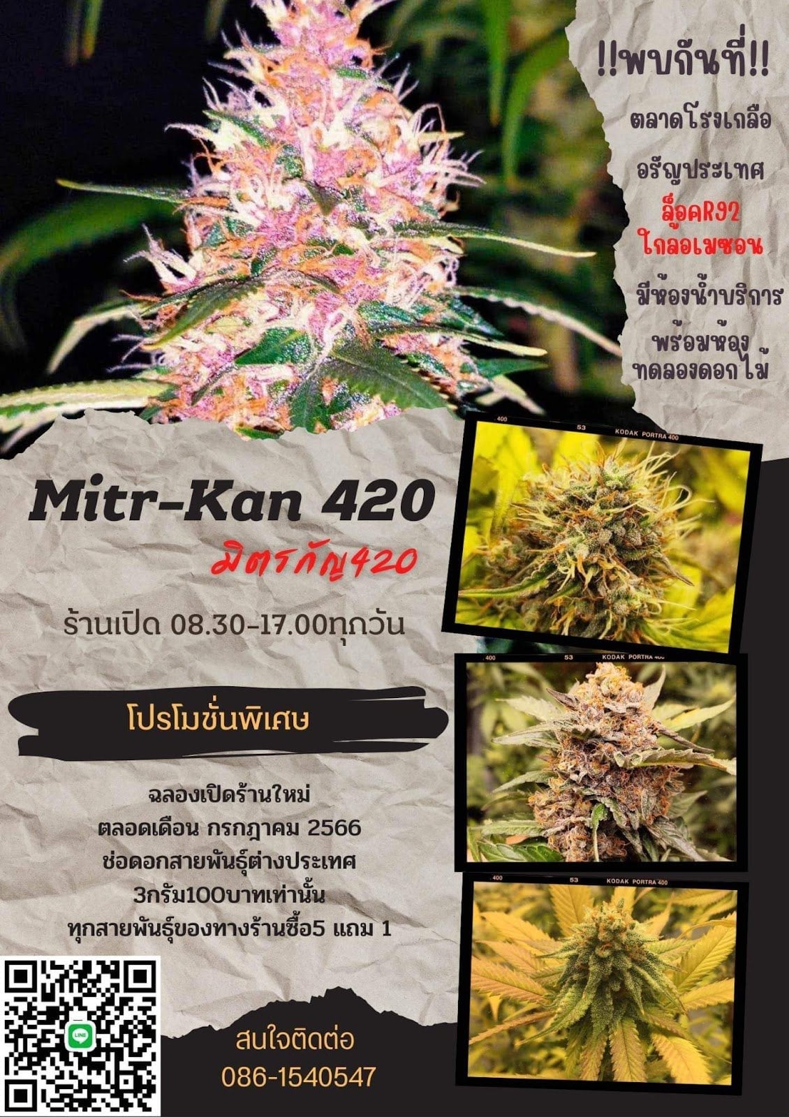 Mitr Kan Cannabis