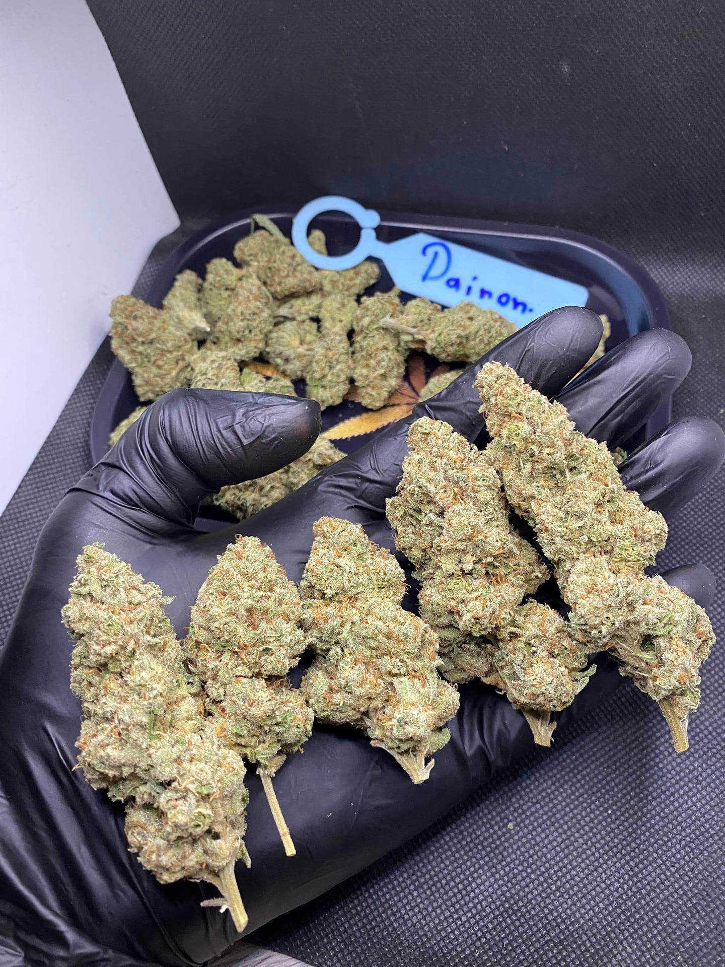 Stoner Corner