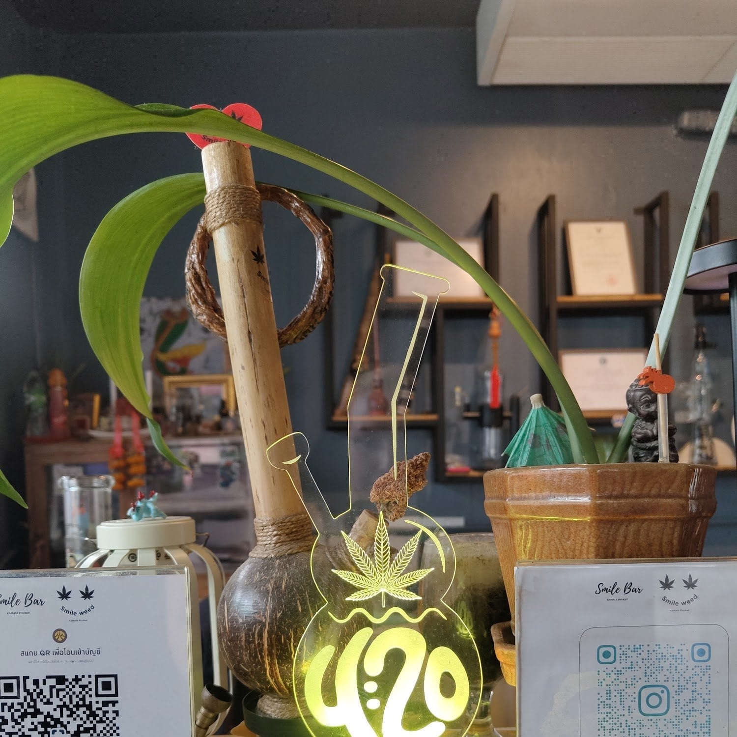 Smile Weed Kamala Phuket