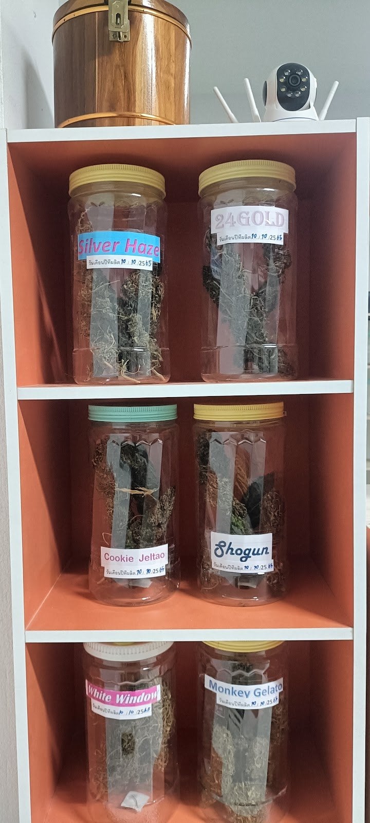Mhopuech Cannabis