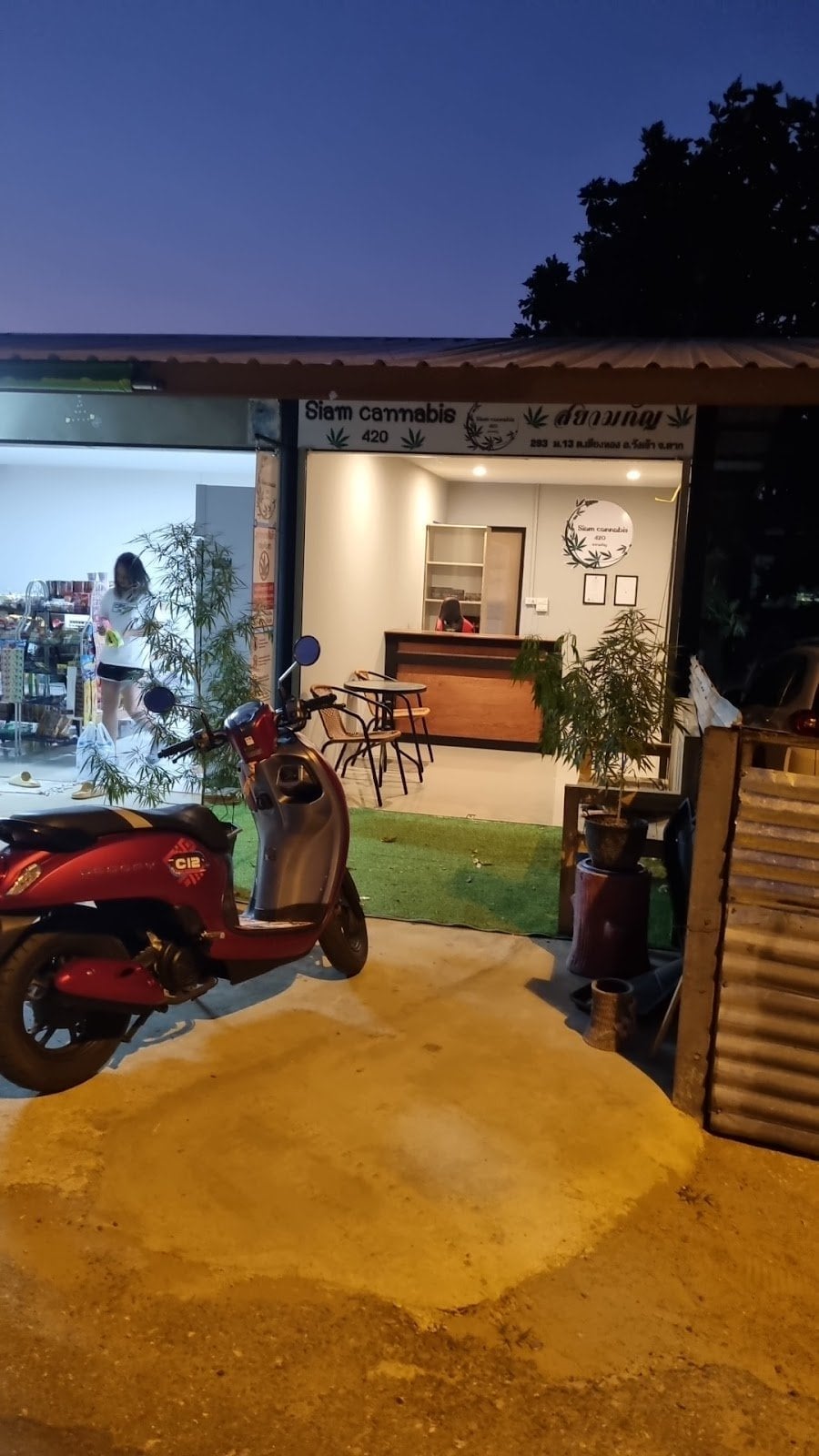 Siam Cannabis