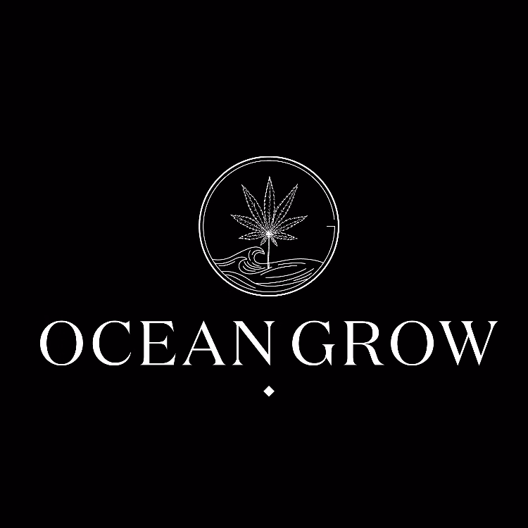 Cannabis Dispensary Ocean Grow in Bangkok logo