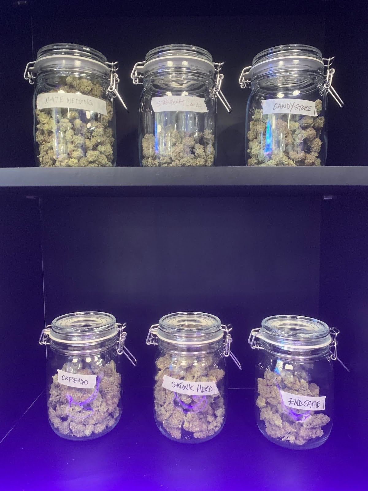 Bud Station