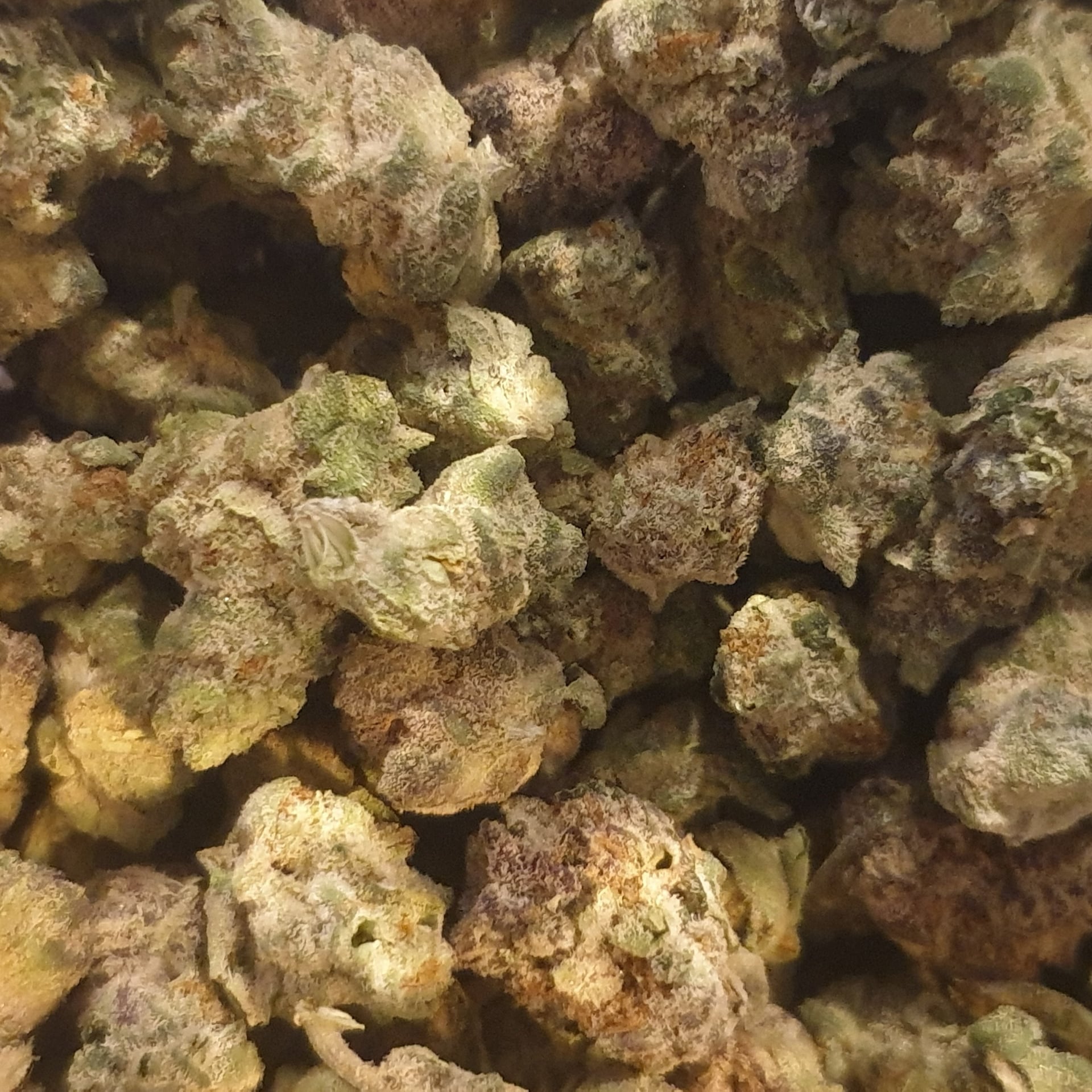 Ganjanaburi