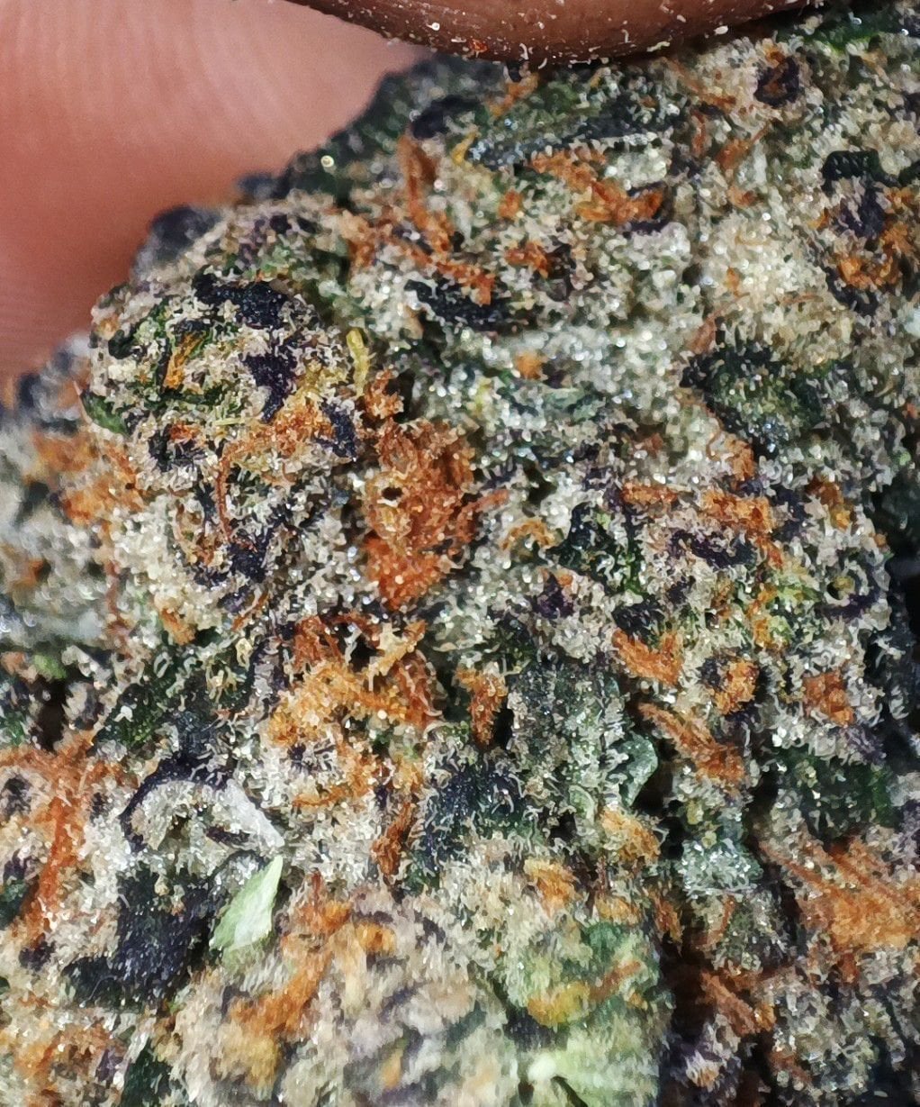 Chiweed