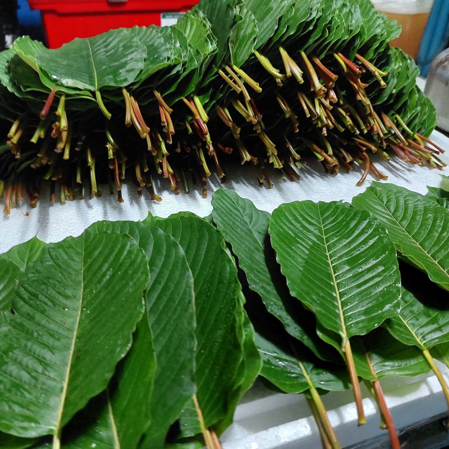 Khay