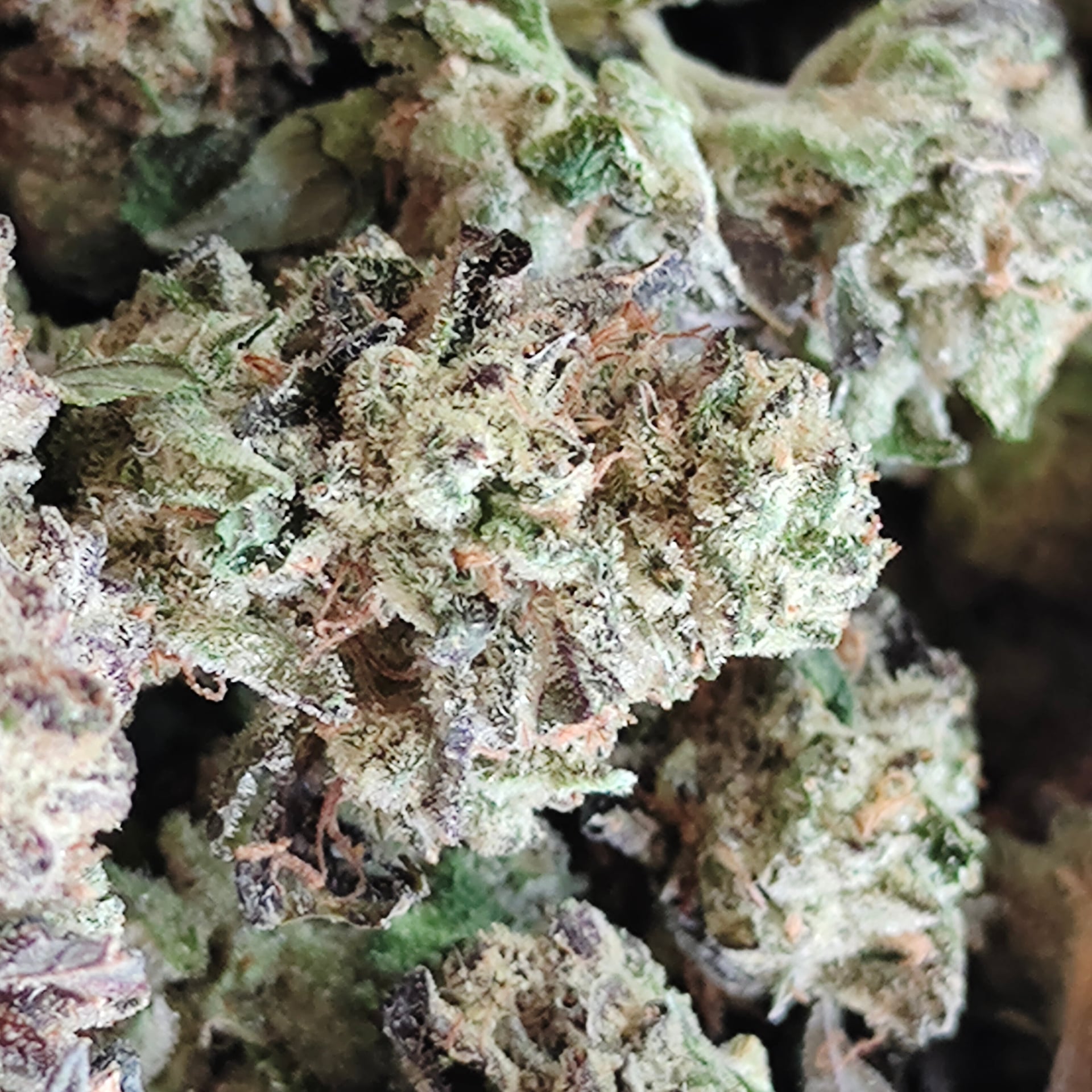 Rolling High Cannabis