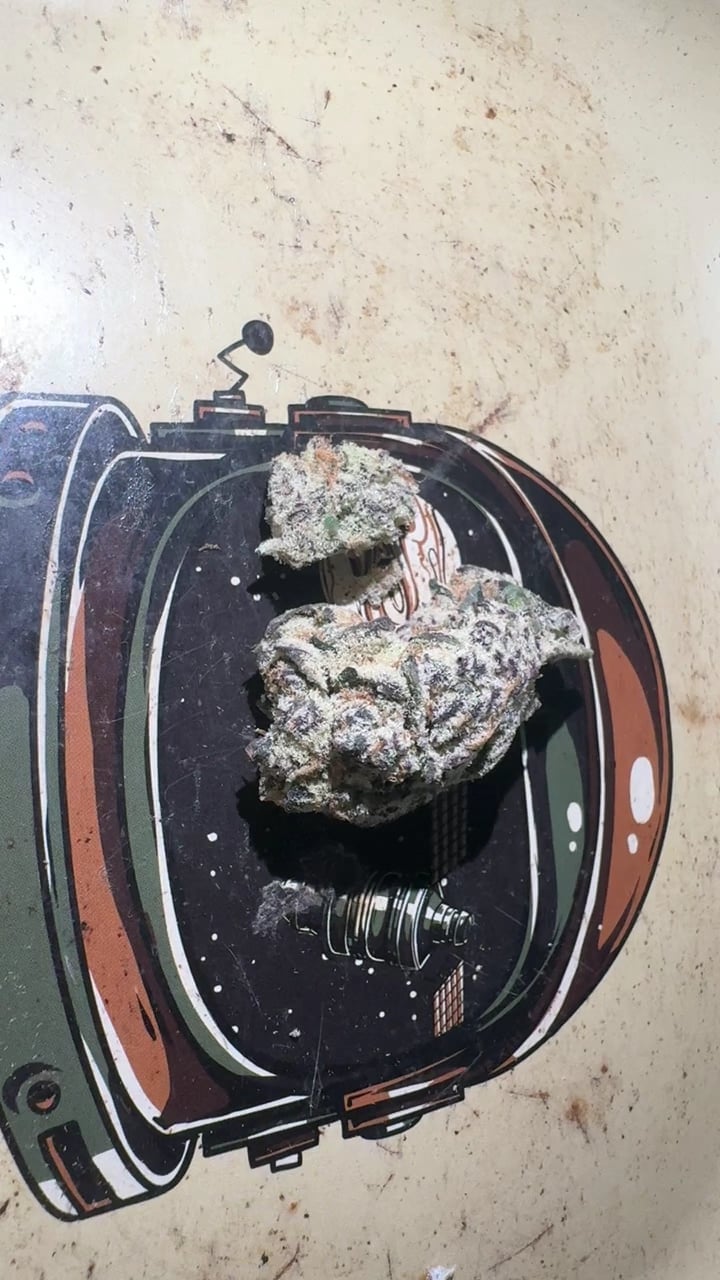 HempBuddy