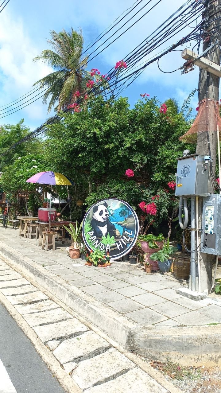 Panda Hill