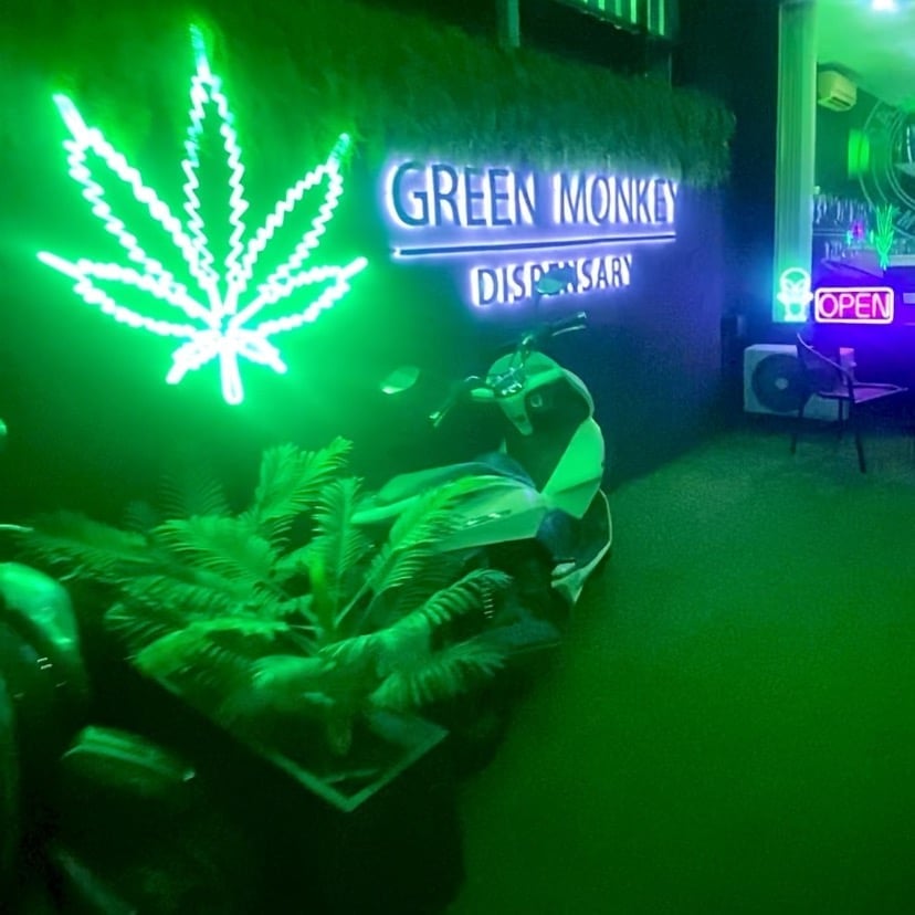 Green Monkey