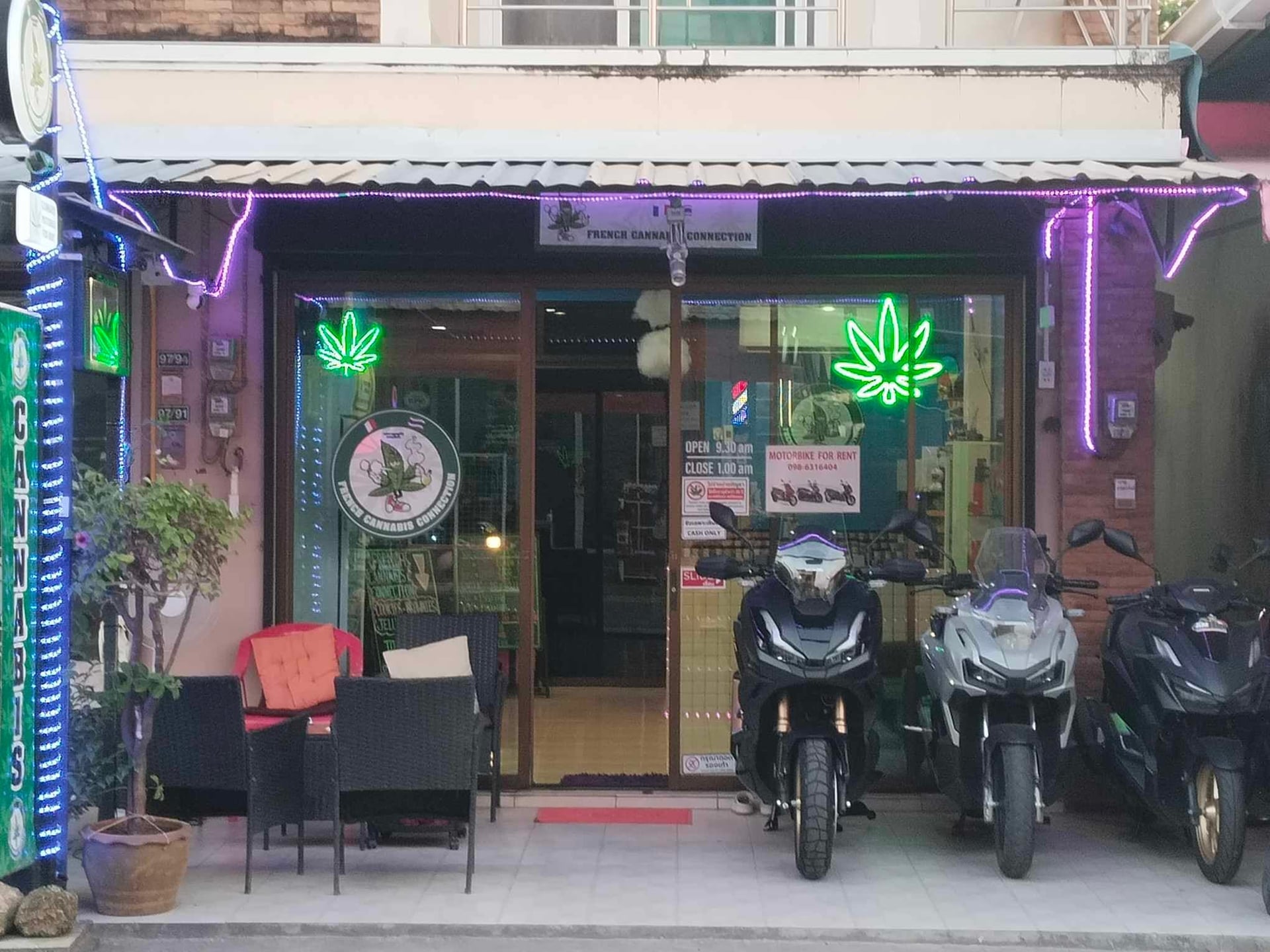 Grandma Jazz - Cannabis