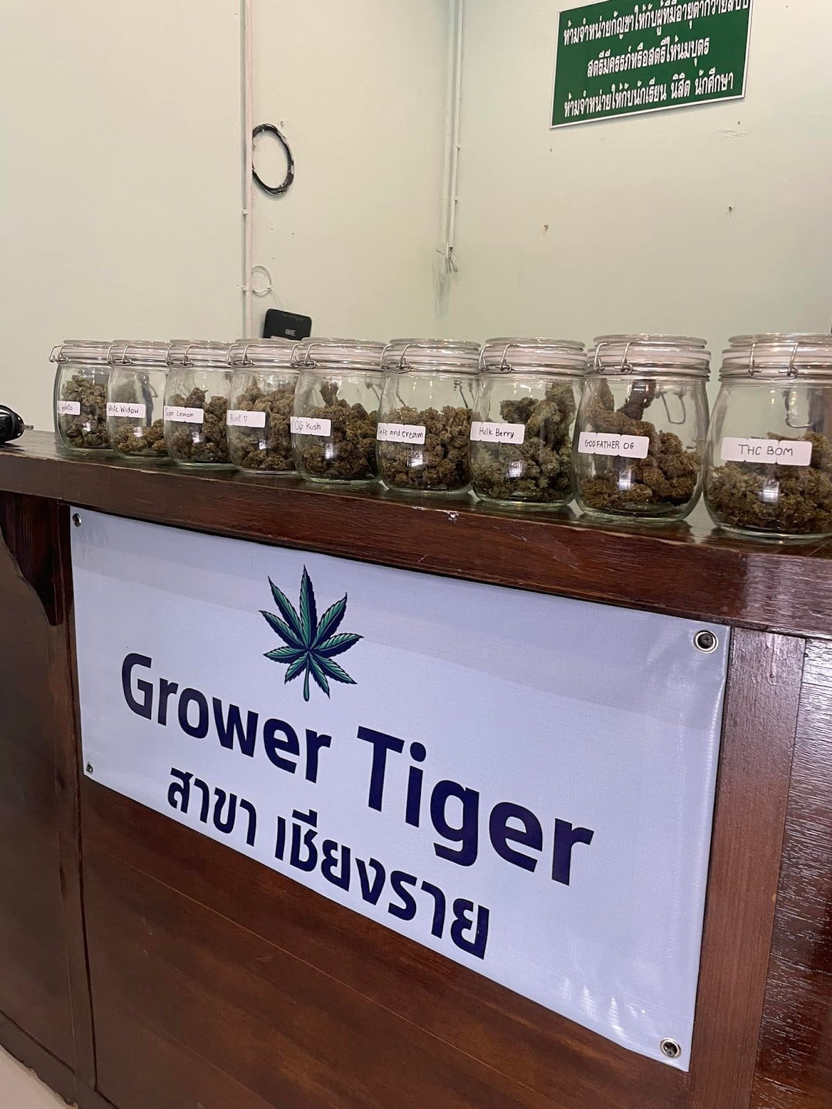 Growertiger Café